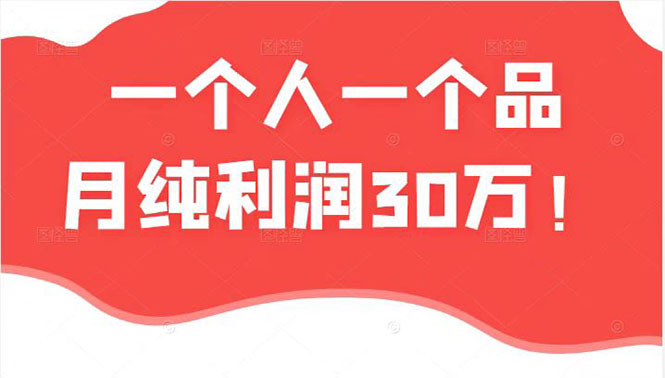 某公众号付费文章：一个人一个品月纯利润30万的蓝海电商经典案例！-云网创资源站