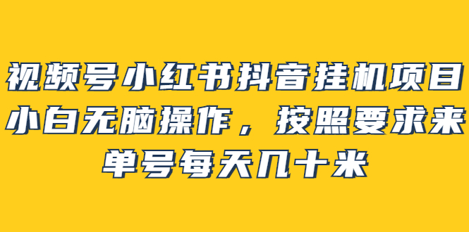 视频号小红书抖音挂机项目，小白无脑操作，按照要求来，单号每天几十米-云网创资源站