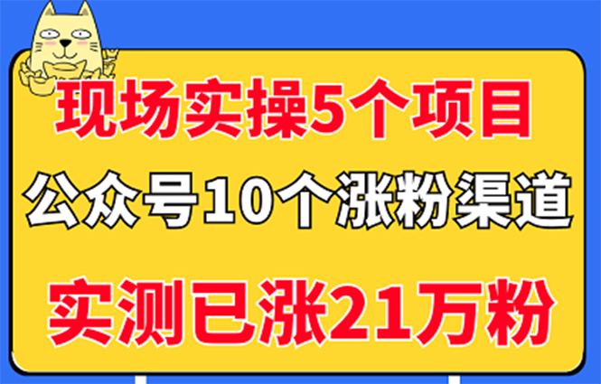 现场实操5个公众号项目，10个涨粉渠道，实测已涨21万粉！-云网创资源站