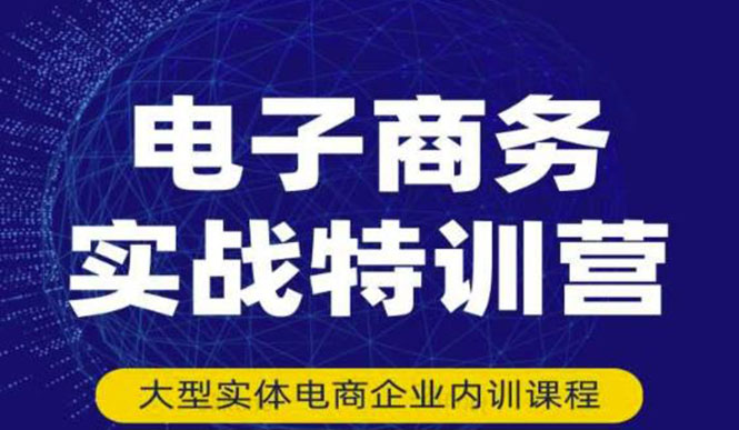 电子商务实战特训营，全方位带你入门电商，308种方式玩转电商-云网创资源站