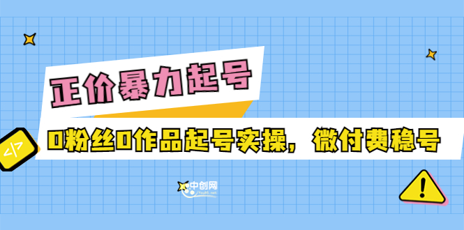 正价暴力起实操号：0粉丝0作品起号实操，微付费稳号-云网创资源站