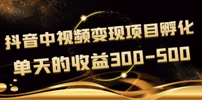 黄岛主《抖音中视频变现项目孵化》单天的收益300-500 操作简单粗暴-云网创资源站