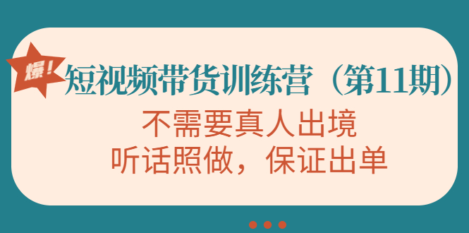 短视频带货训练营，不需要真人出境，听话照做，保证出单-云网创资源站