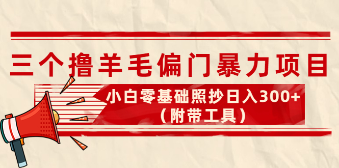 外面卖998的三个撸羊毛偏门暴力项目，小白零基础照抄日入300+-云网创资源站