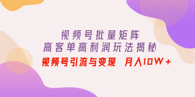 视频号批量矩阵的高客单高利润玩法揭秘： 视频号引流与变现 月入10W+-云网创资源站