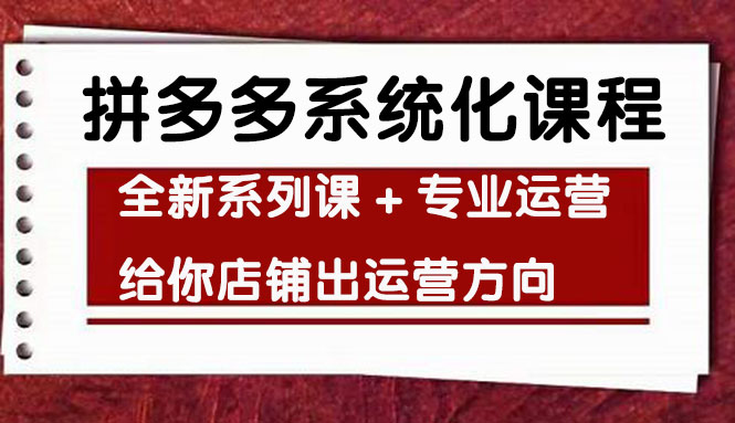 车神陪跑，拼多多系统化课程，全新系列课+专业运营给你店铺出运营方向-云网创资源站