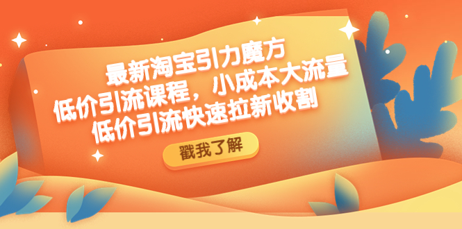 最新淘宝引力魔方低价引流实操：小成本大流量，低价引流快速拉新收割-云网创资源站