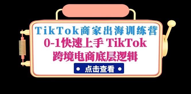 TikTok商家出海训练营：0-1快速上手 TikTok跨境电商底层逻辑(无中创水印)-云网创资源站