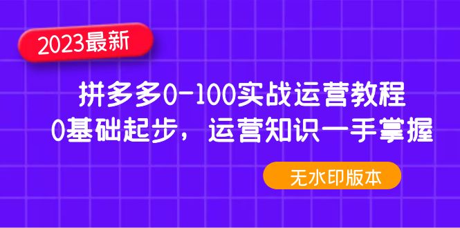 2023拼多多0-100实战运营教程，0基础起步，运营知识一手掌握-云网创资源站