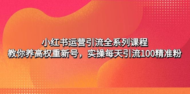 小红书运营引流全系列课程：教你养高权重新号，实操每天引流100精准粉-云网创资源站