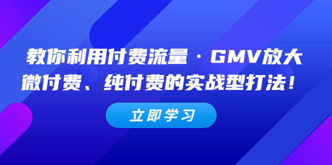 教你利用付费流量·GMV放大，微付费、纯付费的实战型打法！-云网创资源站