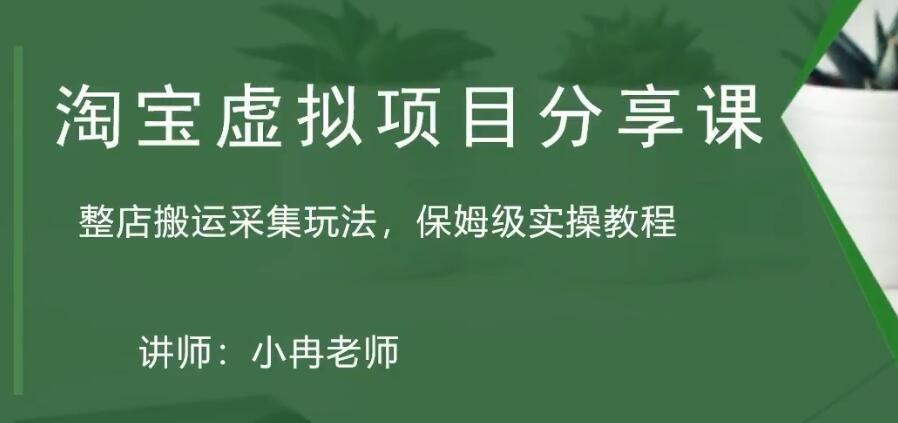 淘宝虚拟整店搬运采集玩法分享课：整店搬运采集玩法，保姆级实操教程-云网创资源站