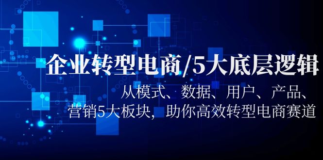 企业转型电商/5大底层逻辑，从模式 数据 用户 产品 营销5大板块，高效转型-云网创资源站