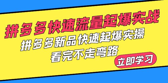 拼多多-快速流量起爆实战，拼多多新品快速起爆实操，看完不走弯路-云网创资源站