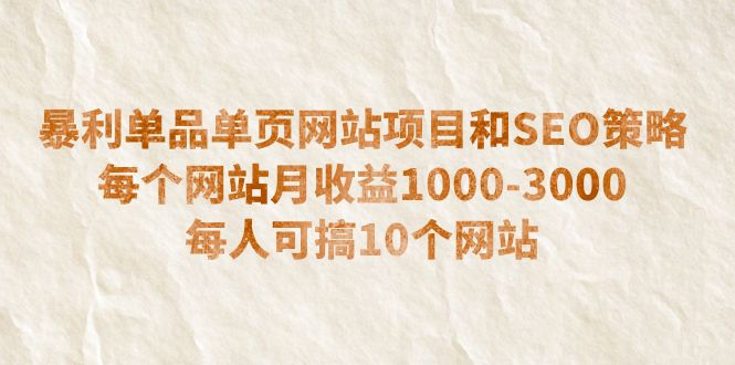 暴利单品单页网站项目和SEO策略  每个网站月收益1000-3000  每人可搞10个-云网创资源站