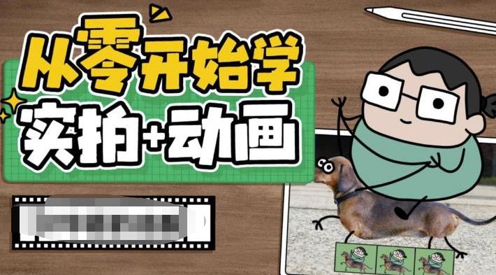 从零开始学实拍加动画，实拍加动画创意教程-云网创资源站