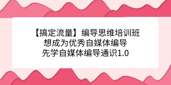 【搞定流量】编导思维培训班，想成为优秀自媒体编导先学自媒体编导通识1.0-云网创资源站