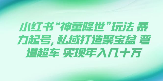 小红书“神童降世”玩法 暴力起号,私域打造聚宝盆 弯道超车 实现年入几十万-云网创资源站