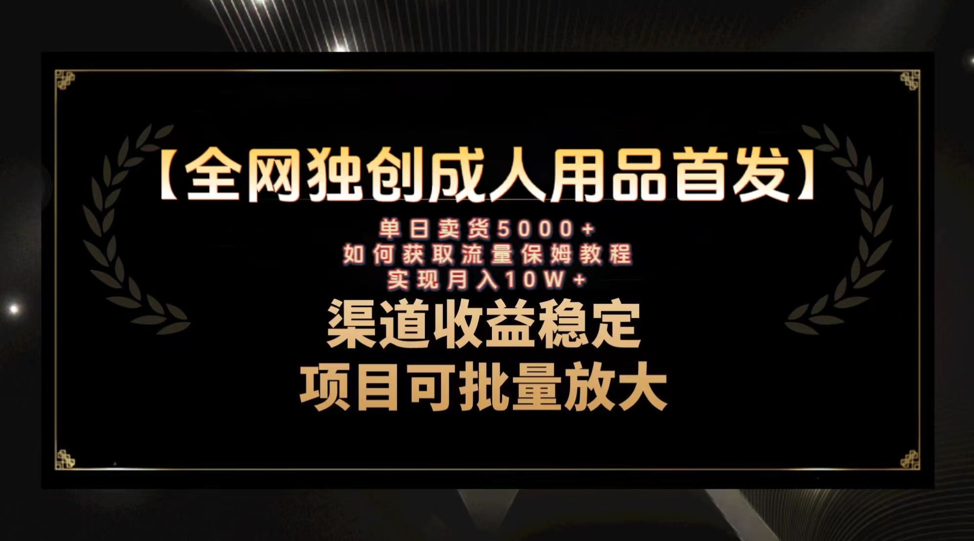 最新全网独创首发，成人用品赛道引流获客，月入10w保姆级教程-云网创资源站