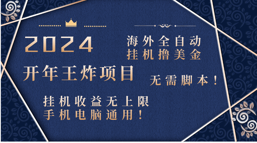 2024海外全自动挂机撸美金项目！手机电脑均可，无需脚本，收益无上限！-云网创资源站