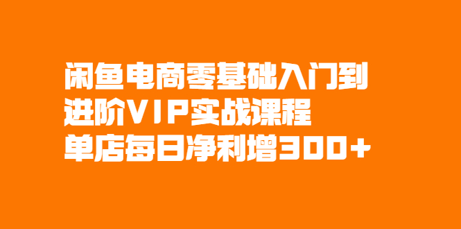 闲鱼电商零基础入门到进阶VIP实战课程，单店每日净利增300+-云网创资源站