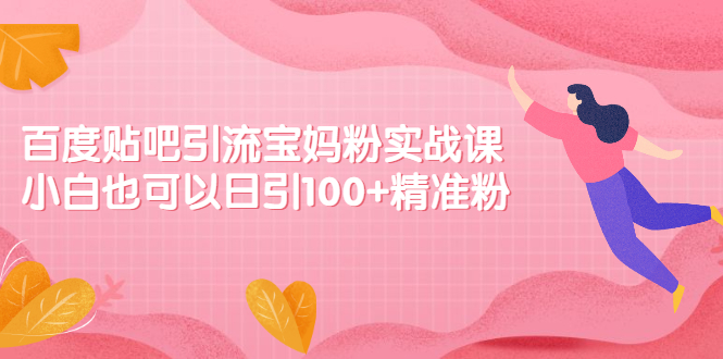 百度贴吧引流宝妈粉实战课，小白也可以日引100+精准粉【视频课程】-云网创资源站