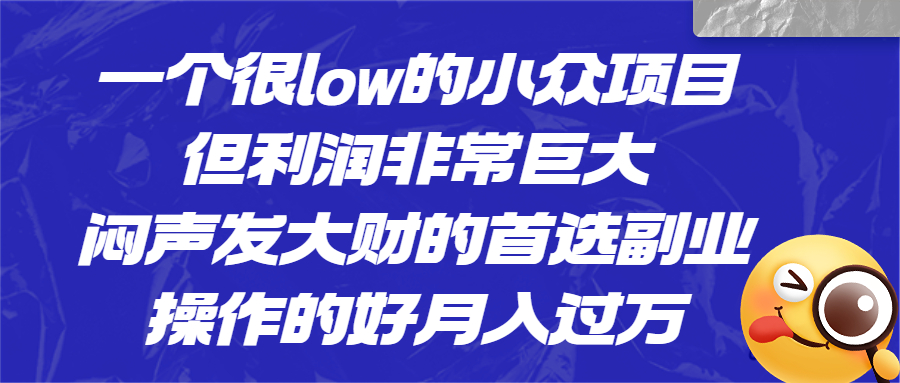 一个很low的小众项目，但利润非常巨大，闷声发大财的首选副业，月入过万-云网创资源站