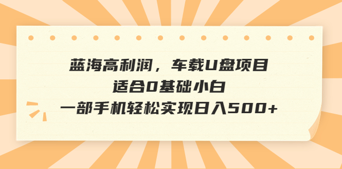 蓝海高利润，车载U盘项目，适合0基础小白，一部手机轻松实现日入500+-云网创资源站