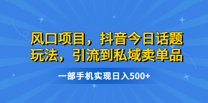 风口项目，抖音今日话题玩法，引流到私域卖单品，一部手机实现日入500+-云网创资源站