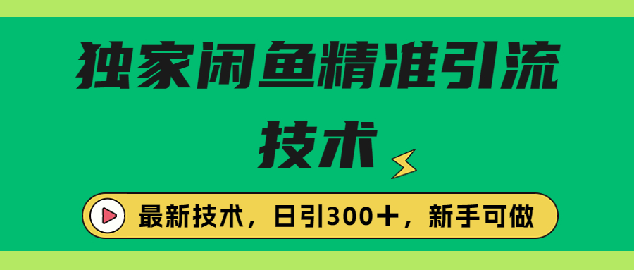 独家闲鱼引流技术，日引300＋实战玩法-云网创资源站