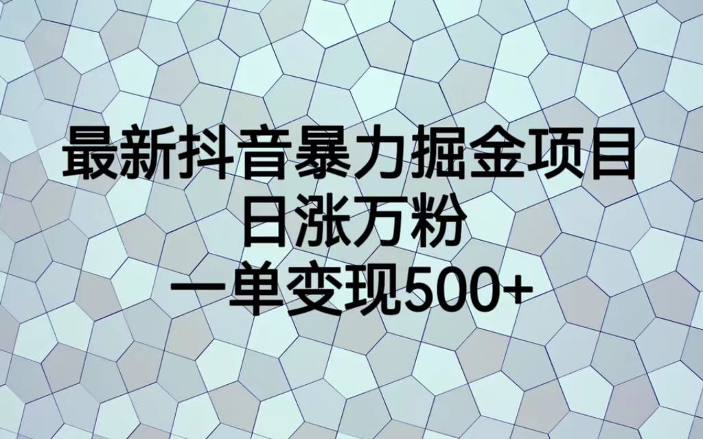 最新抖音暴力掘金项目，日涨万粉，一单变现500+-云网创资源站