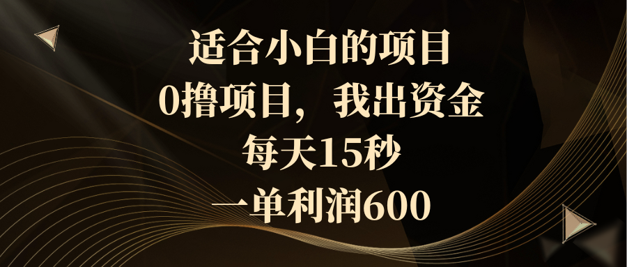 适合小白的项目，0撸项目，我出资金，每天15秒，一单利润600-云网创资源站