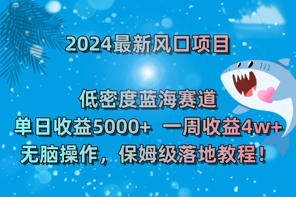 2024最新风口项目 低密度蓝海赛道，日收益5000+周收益4w+ 无脑操作，保…-云网创资源站