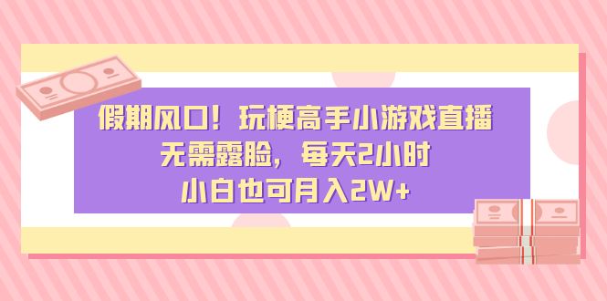 假期风口！玩梗高手小游戏直播，无需露脸，每天2小时，小白也可月入2W+-云网创资源站