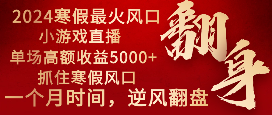 2024年最火寒假风口项目 小游戏直播 单场收益5000+抓住风口 一个月直接提车-云网创资源站