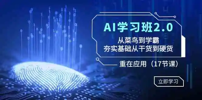 AI学习班2.0：从菜鸟到学霸，夯实基础从干货到硬货，重在应用-云网创资源站