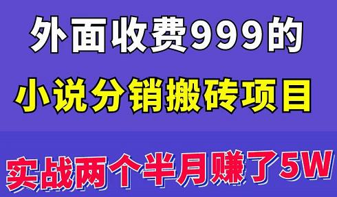 外面收费999的小说分销搬砖项目：实战两个半月赚了5W块，操作简单！-云网创资源站