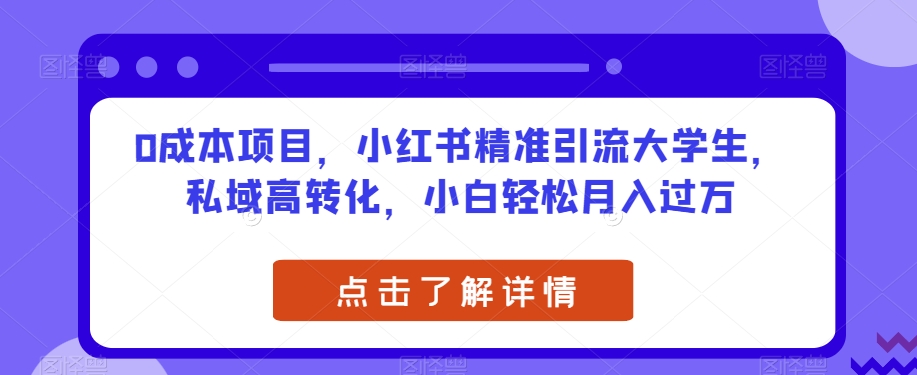 0成本项目，小红书精准引流大学生，私域高转化，小白轻松月入过万【揭秘】-云网创资源站