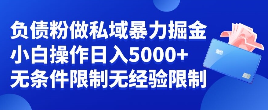 负债粉私域暴力掘金，小白操作入5000，无经验限制，无条件限制【揭秘】-云网创资源站