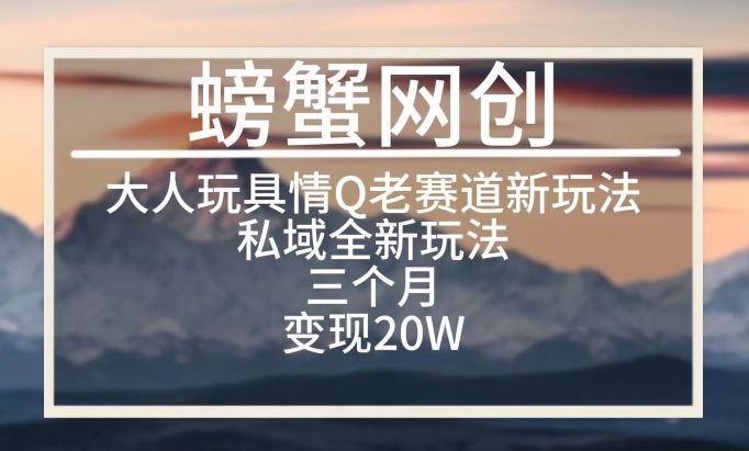 大人玩具情Q用品赛道私域全新玩法，三个月变现20W，老项目新思路【揭秘】-云网创资源站