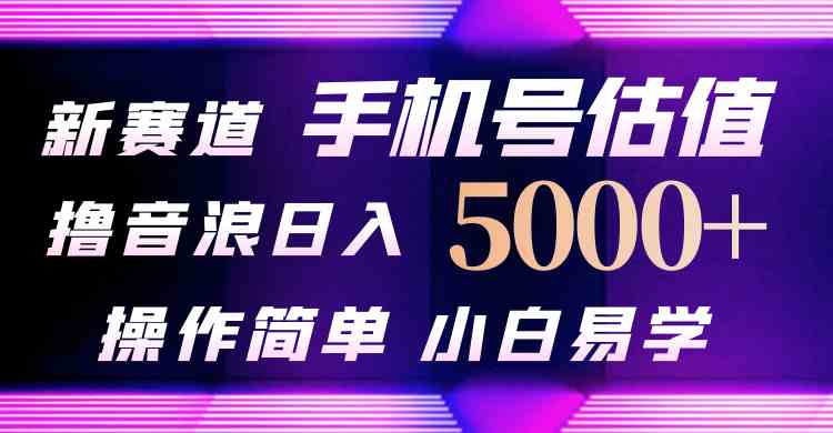 抖音不出境直播【手机号估值】最新撸音浪，日入5000+，简单易学，适合…-云网创资源站