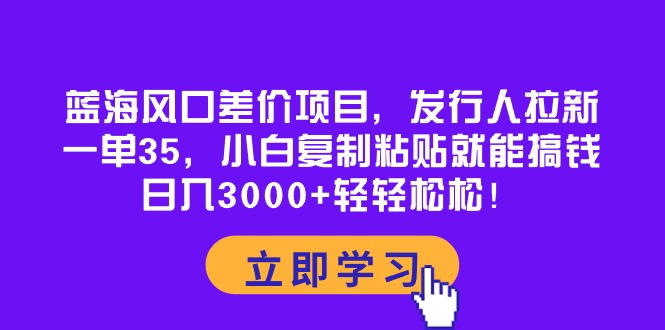 蓝海风口价格差新项目，外国投资者引流，一单35，新手拷贝就可弄钱！日入30…-云网创资源站