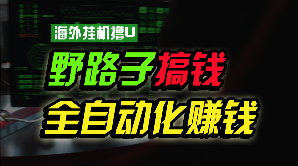 国外放置挂机撸U新渠道，日赚8-15美金，全过程无人化，可大批量变大，个人工作室…-云网创资源站