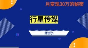 2024抖音情感ip项目单月变现30w的秘密全新蓝海赛道-云网创资源站