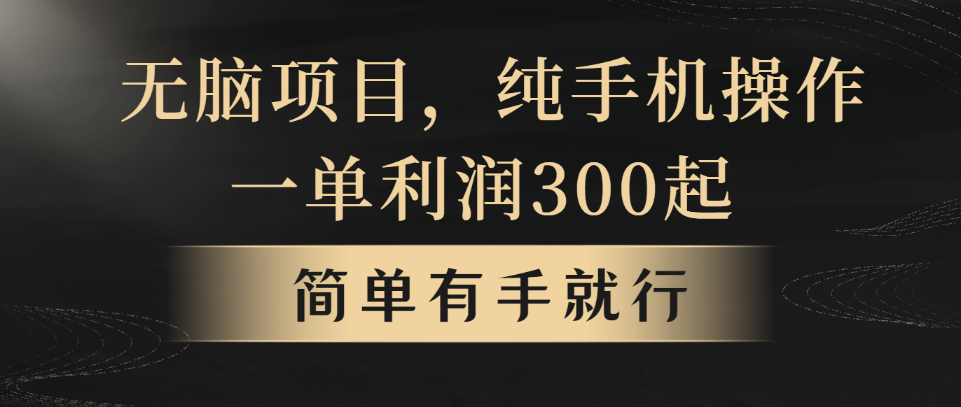 没脑子新项目，一单几百元，轻轻松松月入5w ，看了就可以直接实际操作-云网创资源站