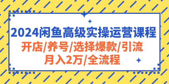 2024闲鱼平台高端实际操作营销课程：开实体店/起号/挑选爆品/引流方法/月入2万/全过程-云网创资源站