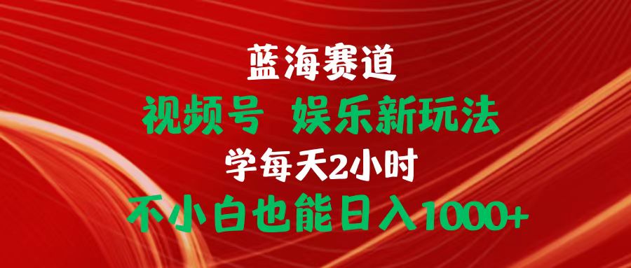 蓝海赛道视频号 娱乐新玩法每天2小时小白也能日入1000+-云网创资源站