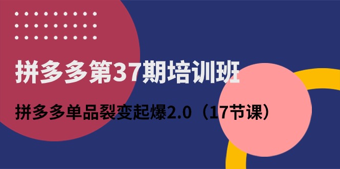 拼多多平台第37期培训机构：拼多多平台品类裂变式爆款2.0-云网创资源站