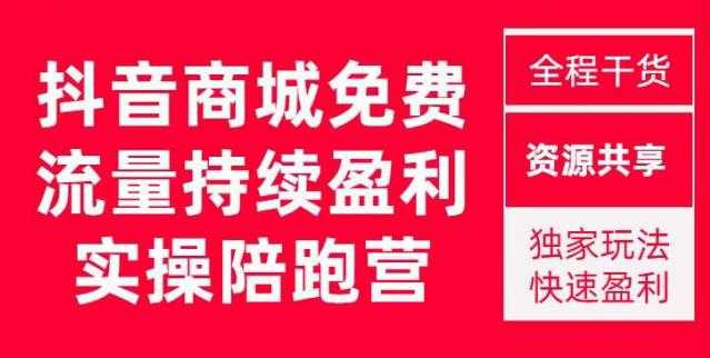 抖音商城搜索持续盈利陪跑成长营，抖音商城搜索从0-1、从1到10的全面解决方案-云网创资源站