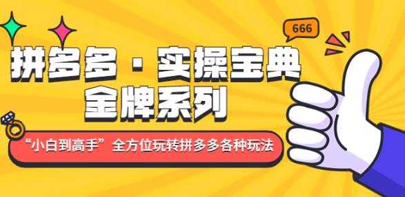 拼多多·实操宝典：金牌系列“小白到高手”带你全方位玩转拼多多各种玩法-云网创资源站